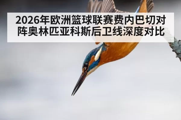 2026年欧洲篮球联赛费内巴切对阵奥林匹亚科斯后卫线深度对比
